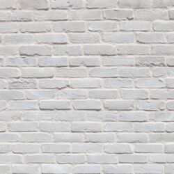 White-Onyx-Plym-TVB